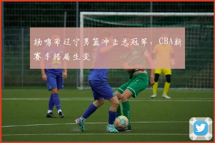 杨鸣率辽宁男篮冲击总冠军，CBA新赛季格局生变