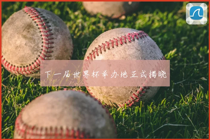 下一届世界杯举办地正式揭晓